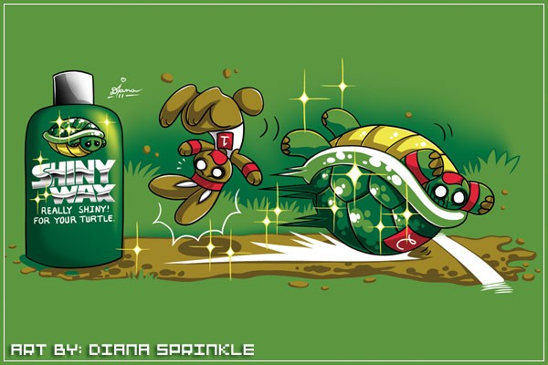 turtle-wax-shop