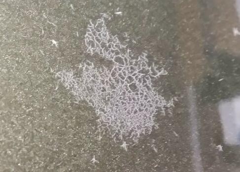 Type 2 Bird Dropping Etching