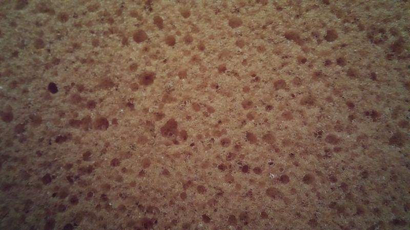 Ultimate Sponge Comparison