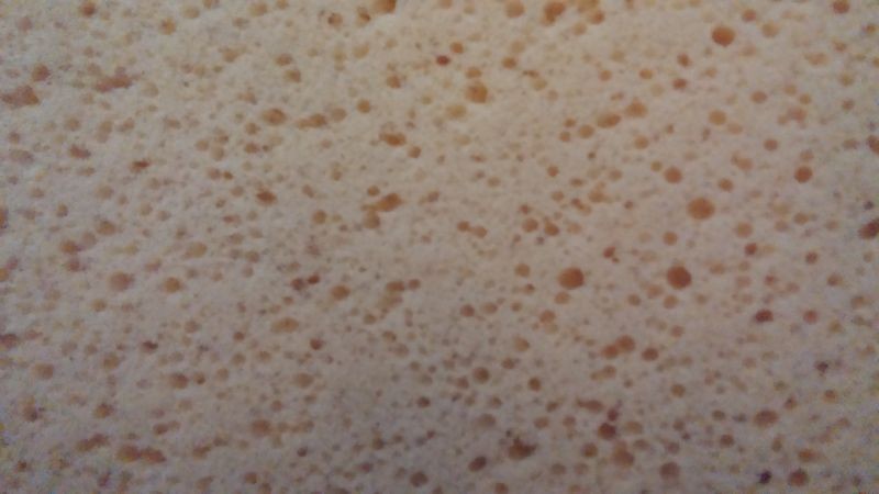 Ultimate Sponge Comparison