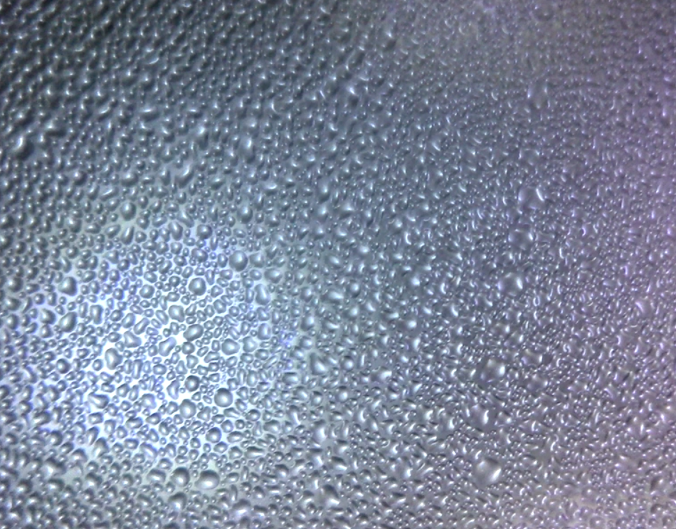 uncoated2