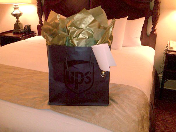 UPS31
