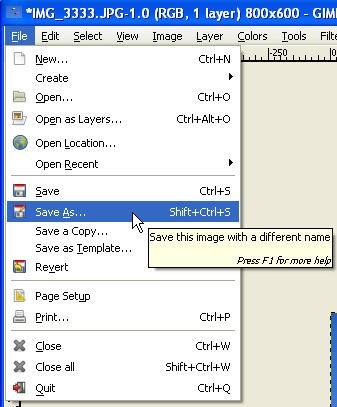 Using the GIMP v2.6