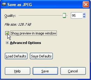 Using the GIMP v2.6