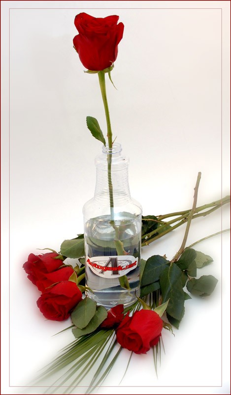 Valentines Day 2010