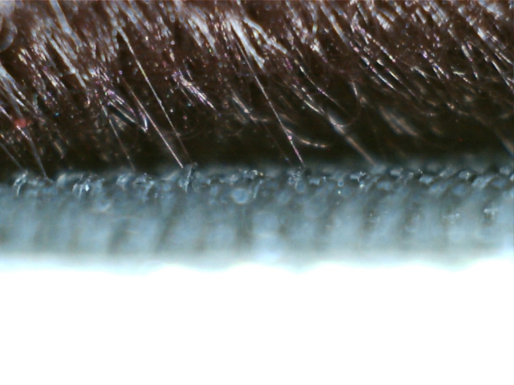 Velcro_