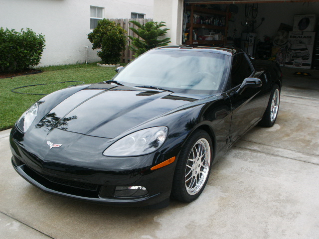 Vette