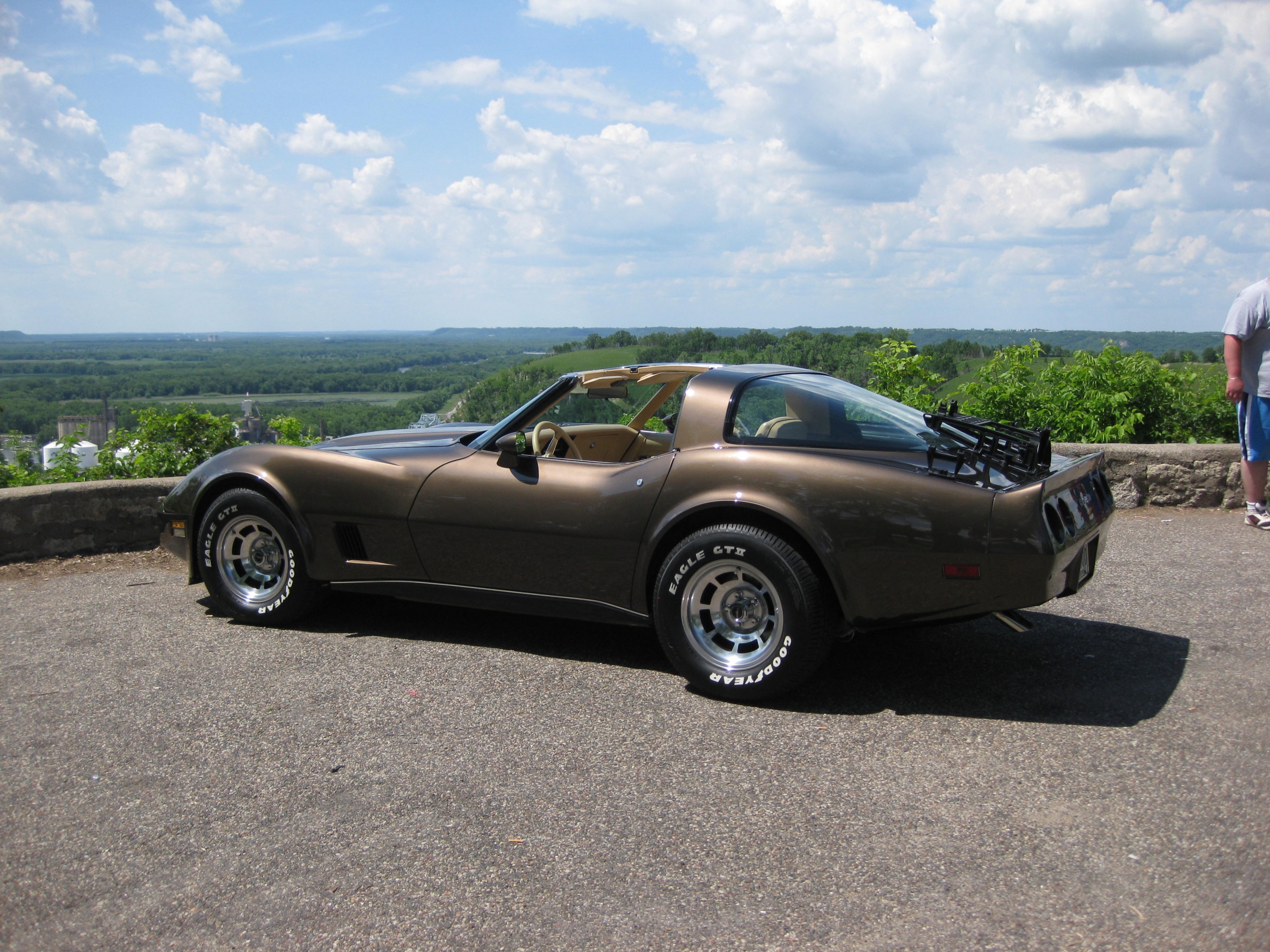 Vette