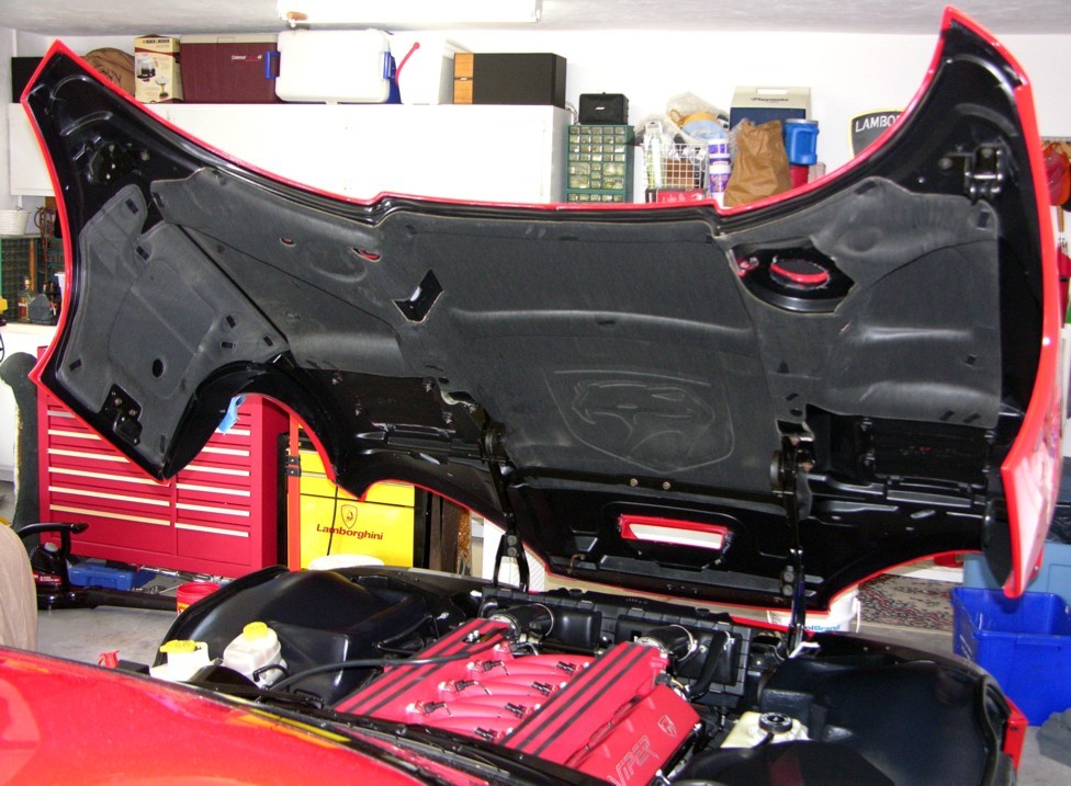 Viper Engine Bay Detail
