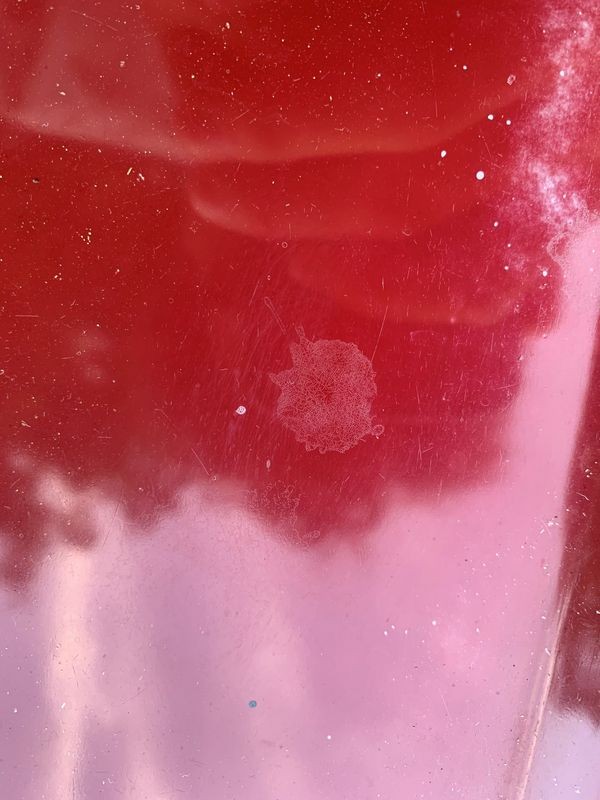 Volvo Thin Single Stage Paint Steve Berry Hemmings Motor News Blog