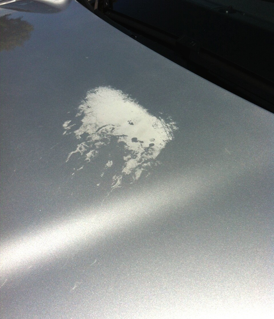 volvo_paint_before