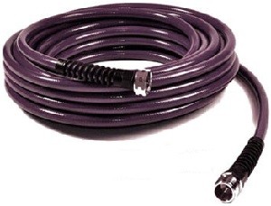 waterrighteggplantwaterhose
