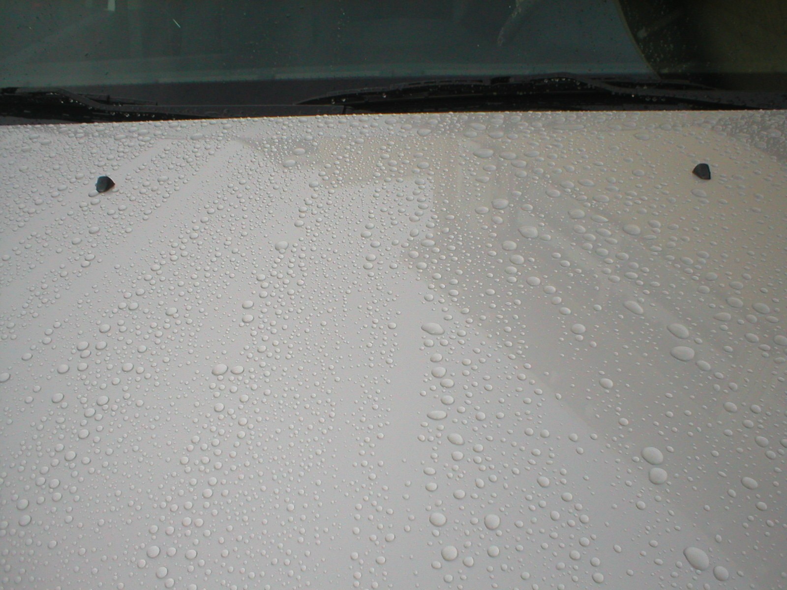 wax hood compare