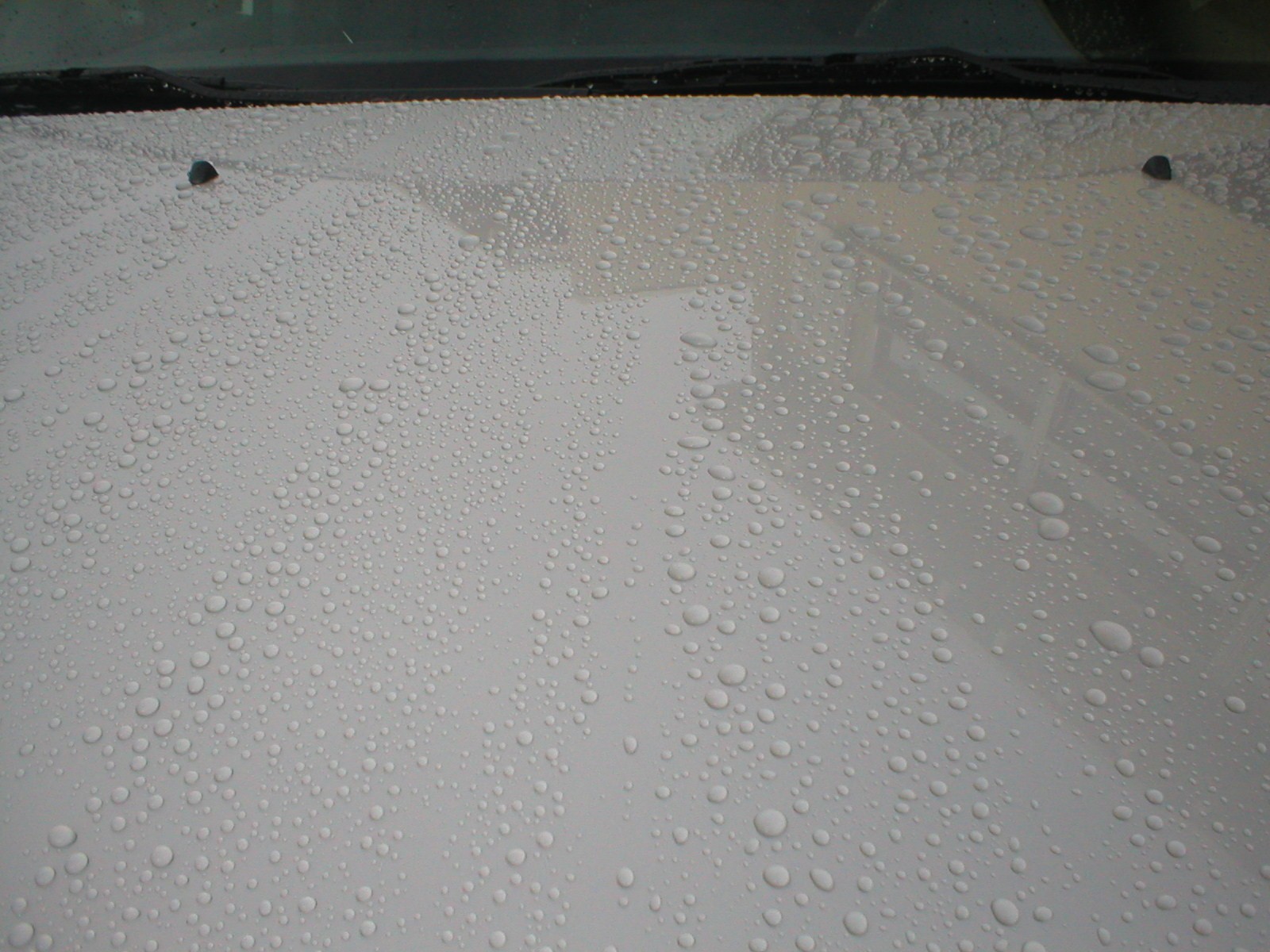 wax hood compare