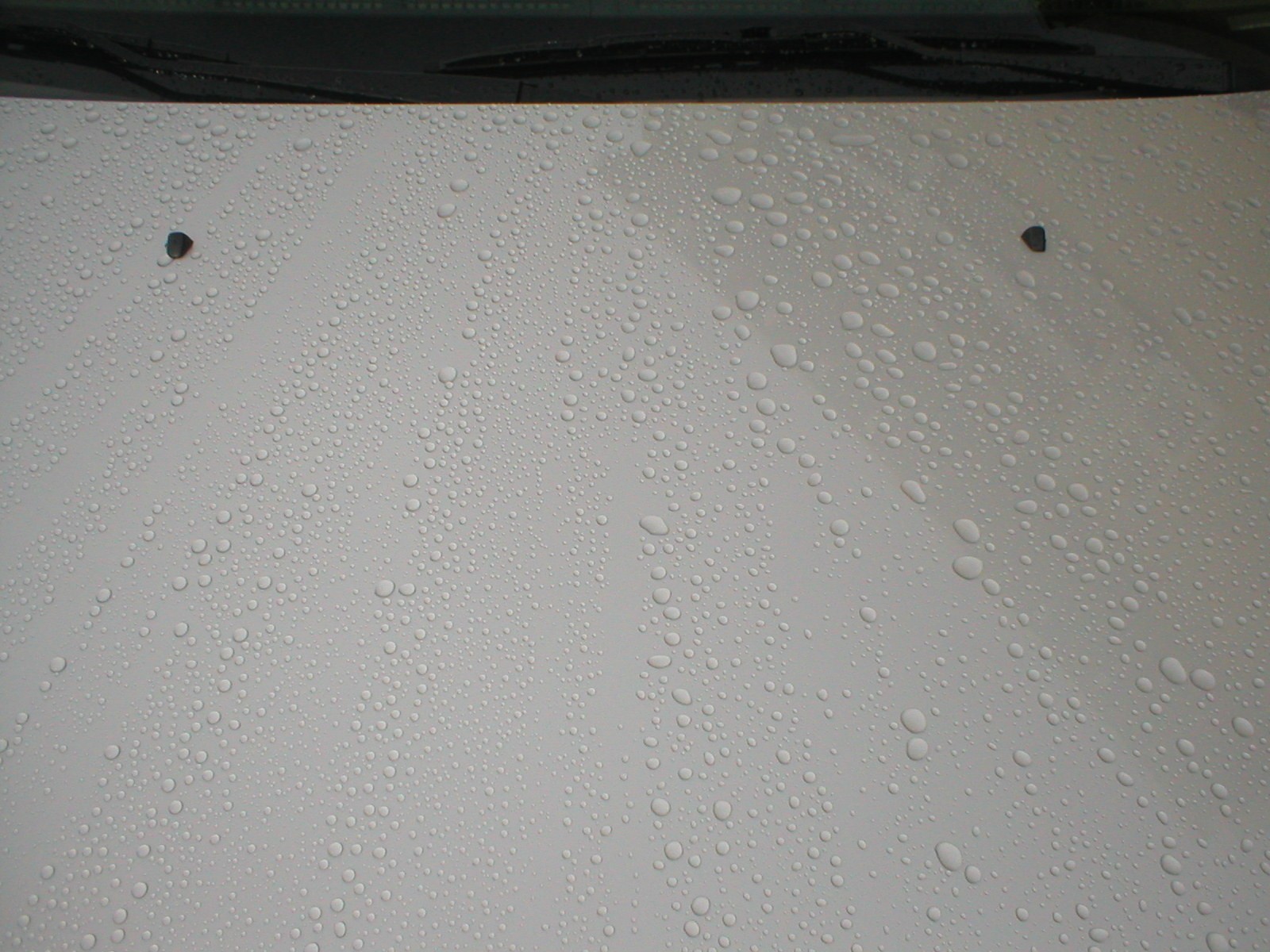 wax hood compare