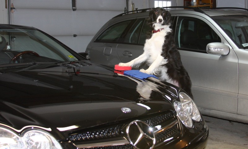 wax on, wax off
