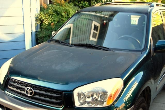 wax oxidation clearcoat failure