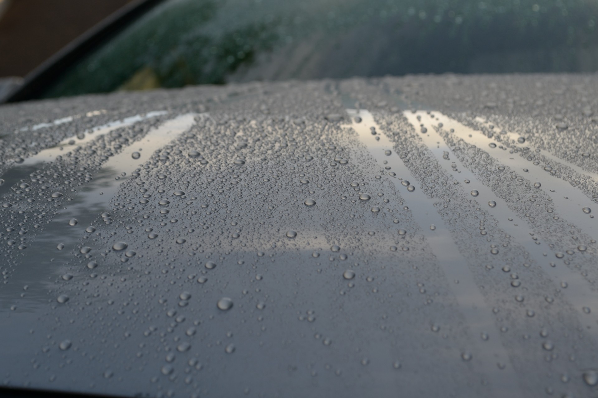 Wet_G37_003