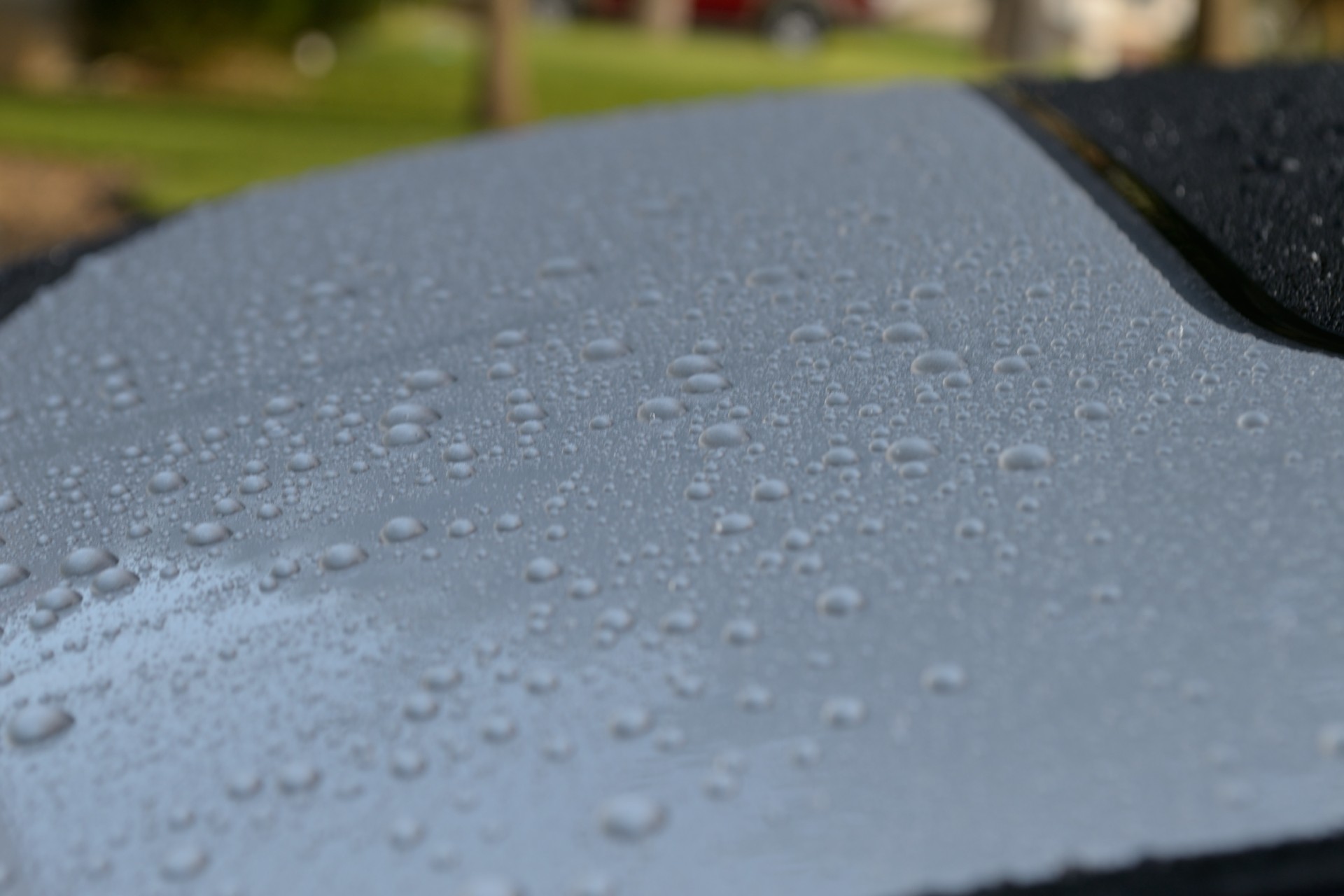 Wet_G37_008