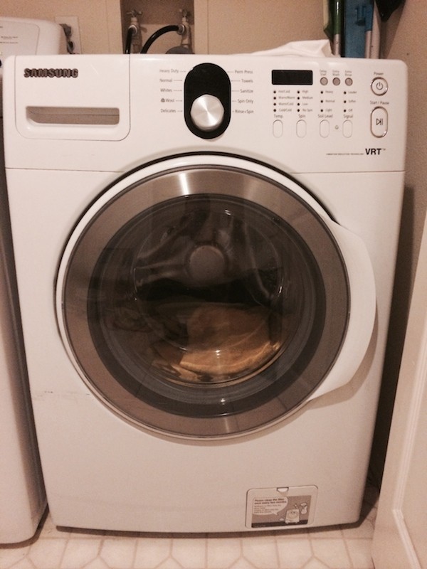 WGMFwasher