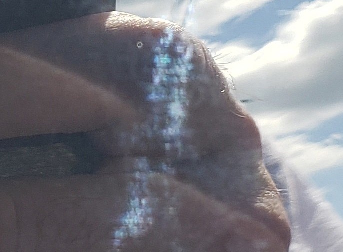 whatisthis