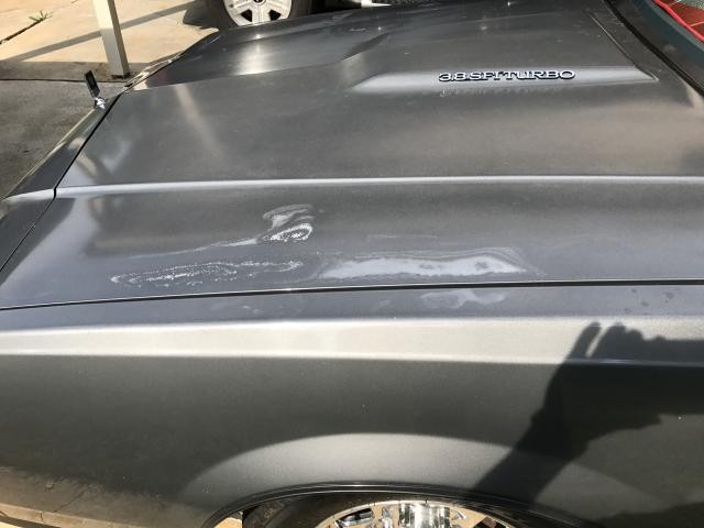 White spots in paint caused by car cover