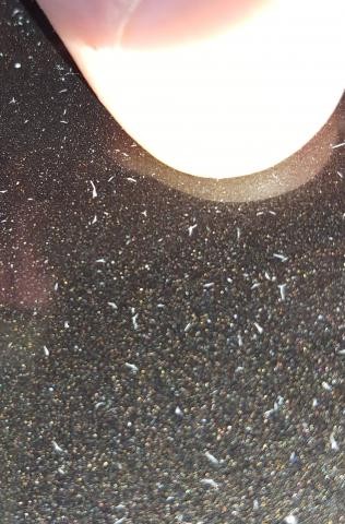 white_specks_02