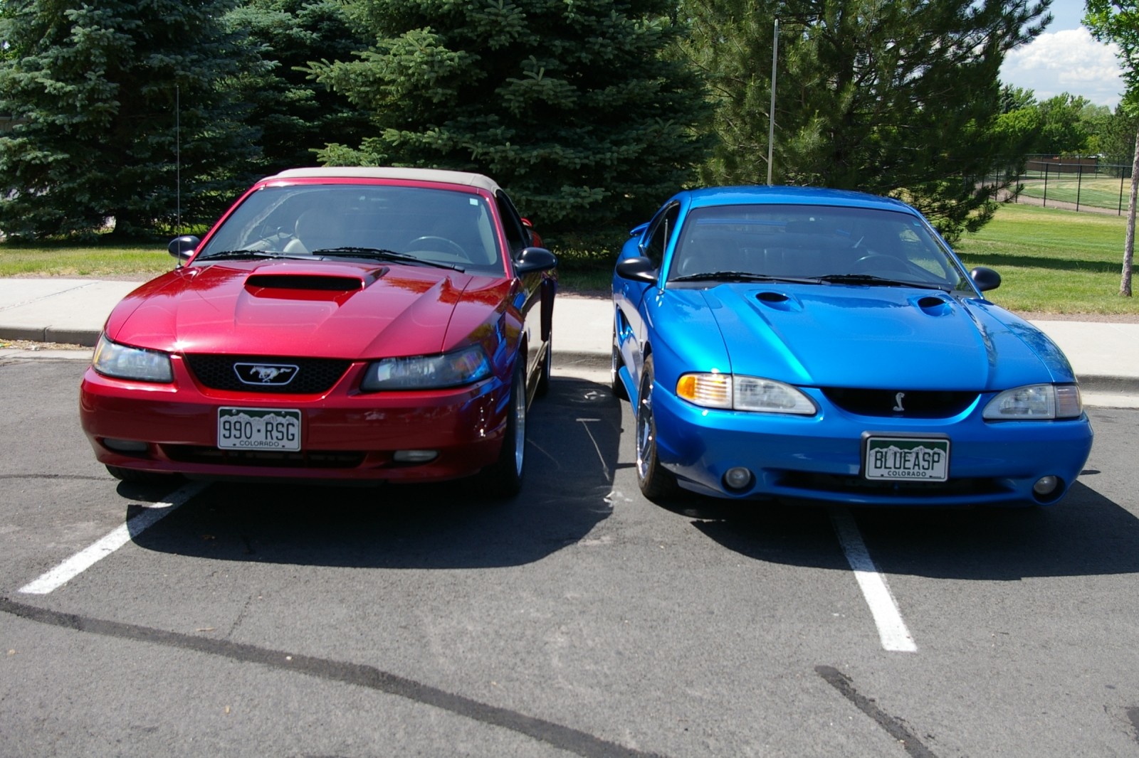 wife's 04' GT, and my 98' Cobra