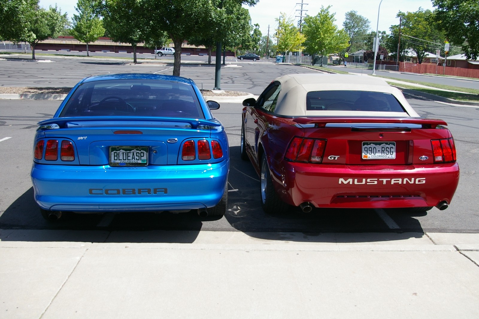 wife's 04' GT, and my 98' Cobra