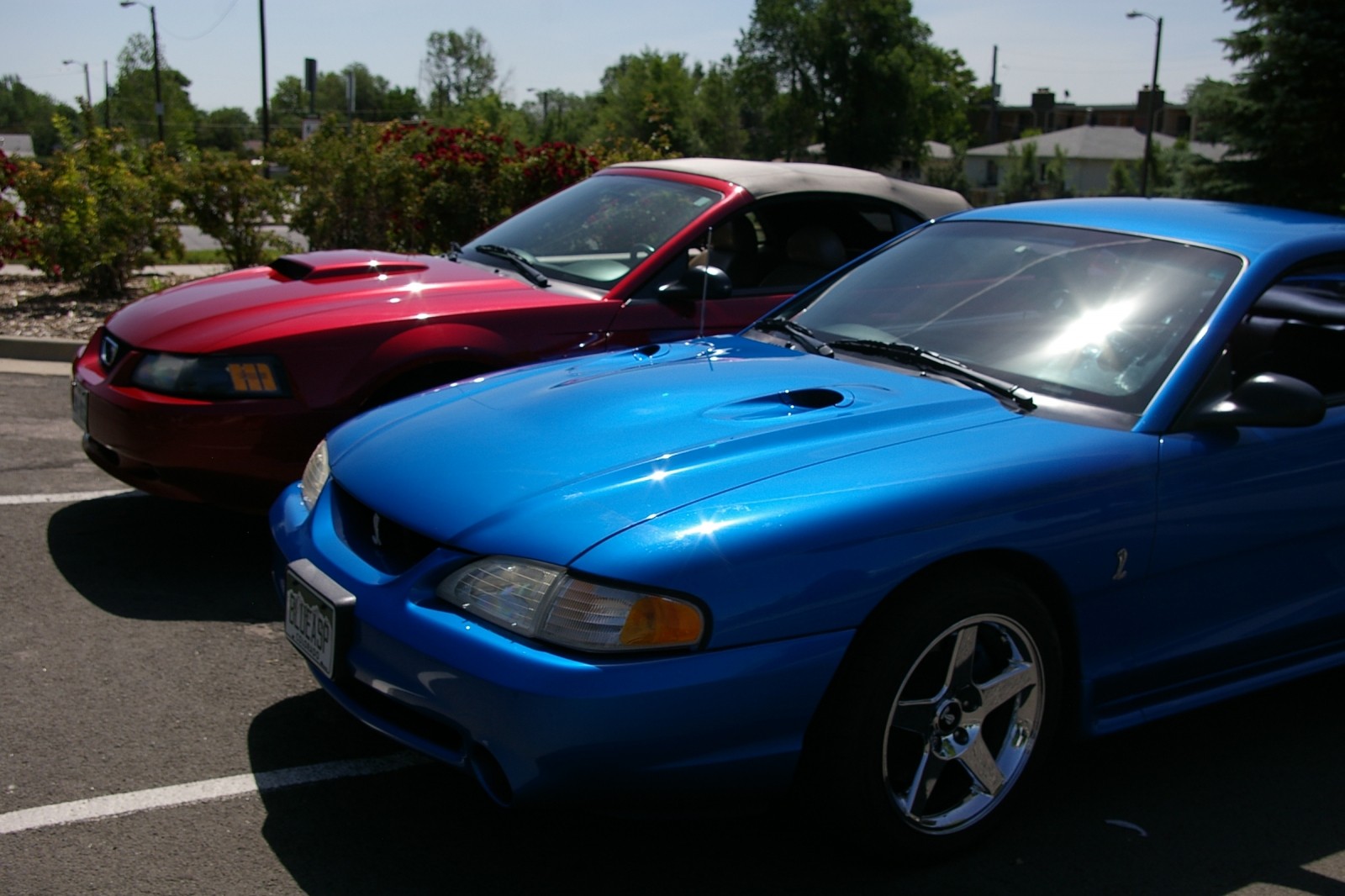 wife's 04' GT, and my 98' Cobra