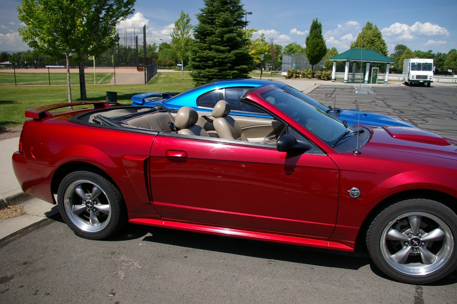 wife's 04' GT, and my 98' Cobra