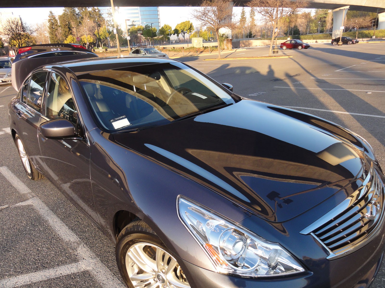 Wife's ride loves megs UQW. Hood shot.