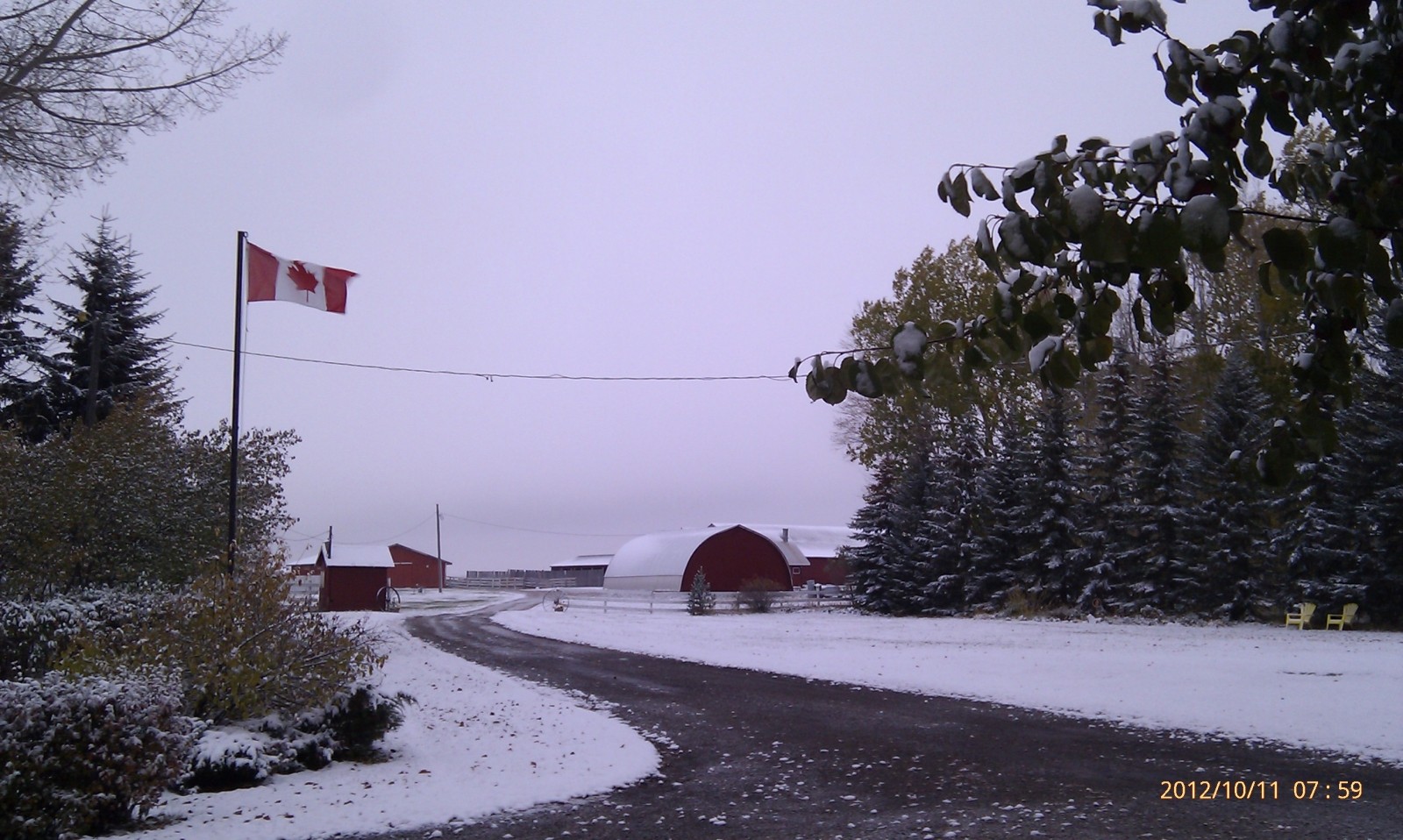 winter