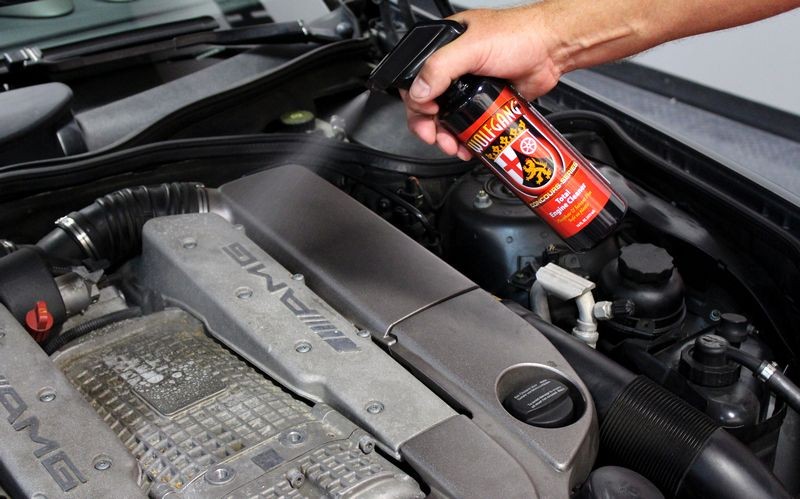 Wolfgang Total Engine Cleaner