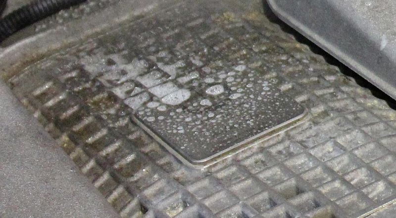 Wolfgang Total Engine Cleaner
