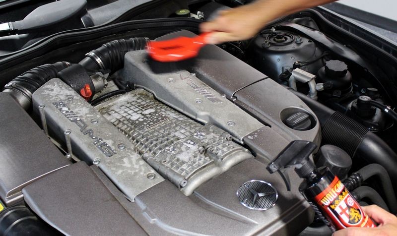 Wolfgang Total Engine Cleaner