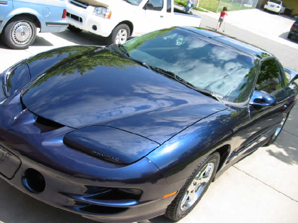 Wolfgang TransAm