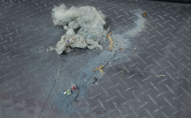 Wool_Dust_Bunnies_2