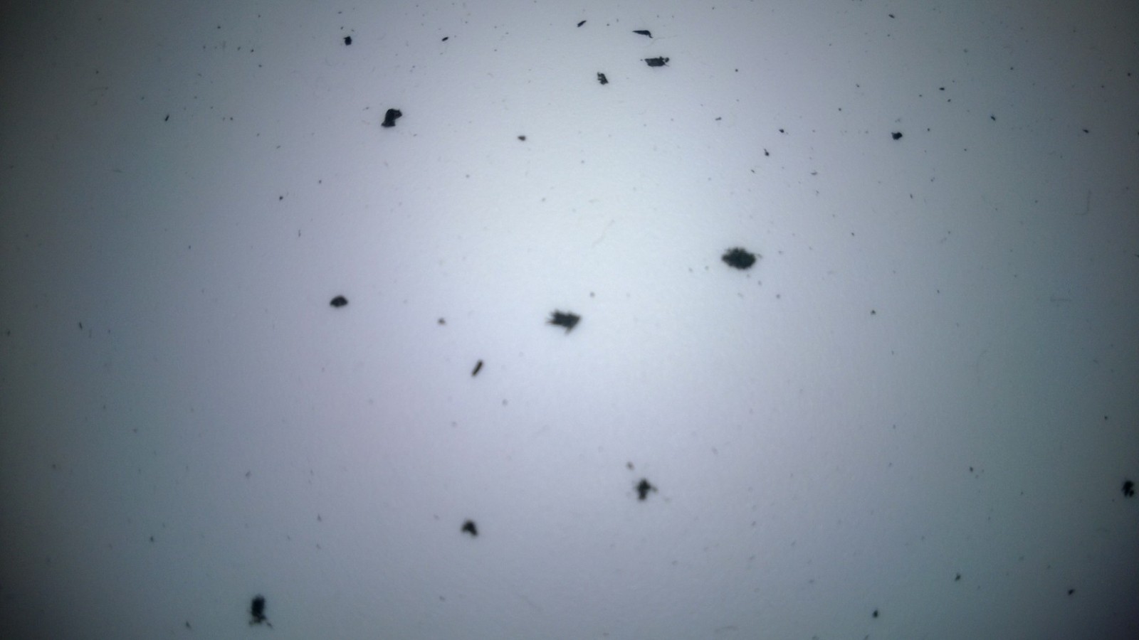 WP_20131118_001