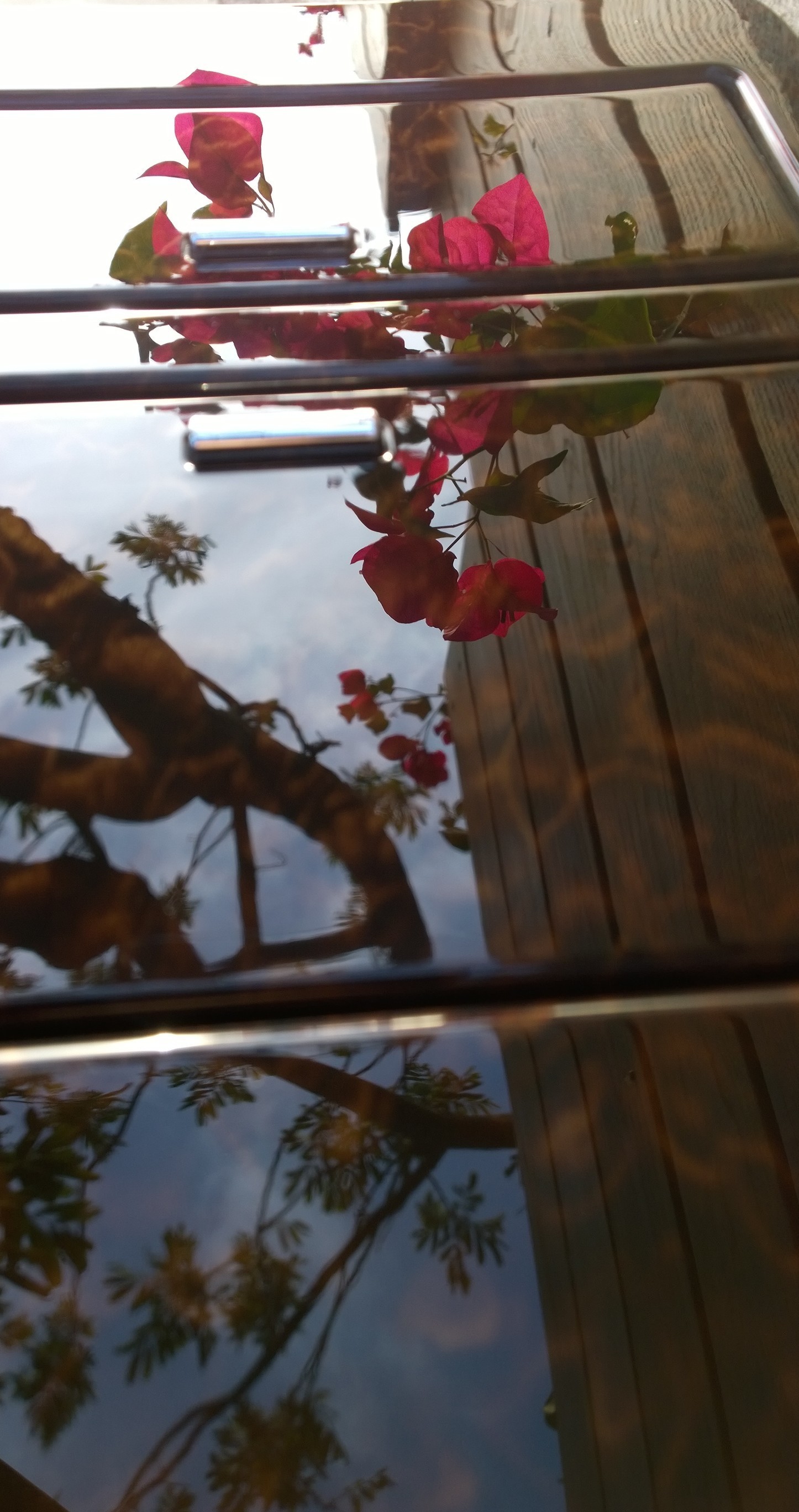 WP_20141116_15_32_57_Pro