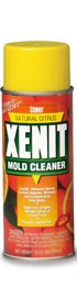 Xenit