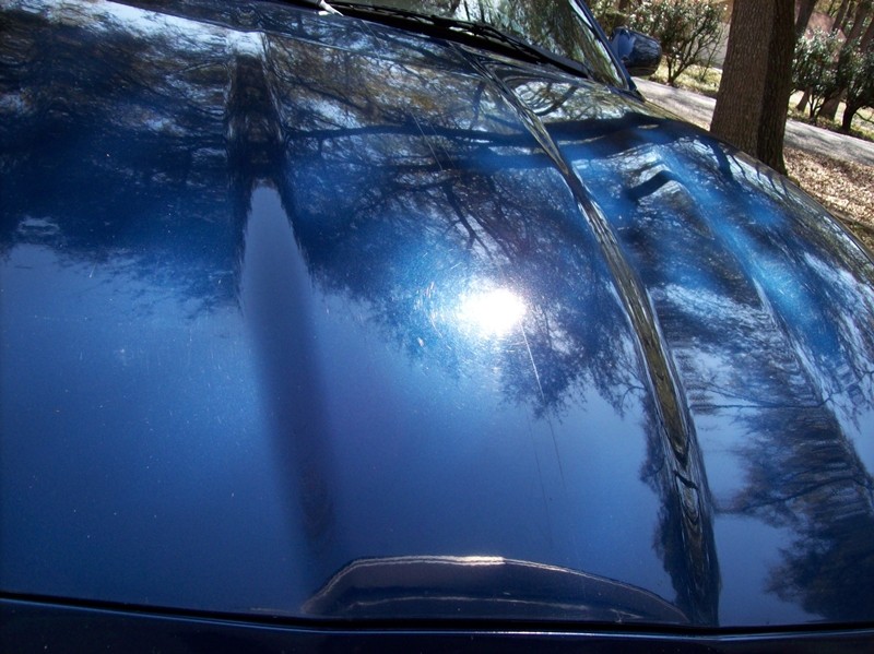 xk8 50/50
