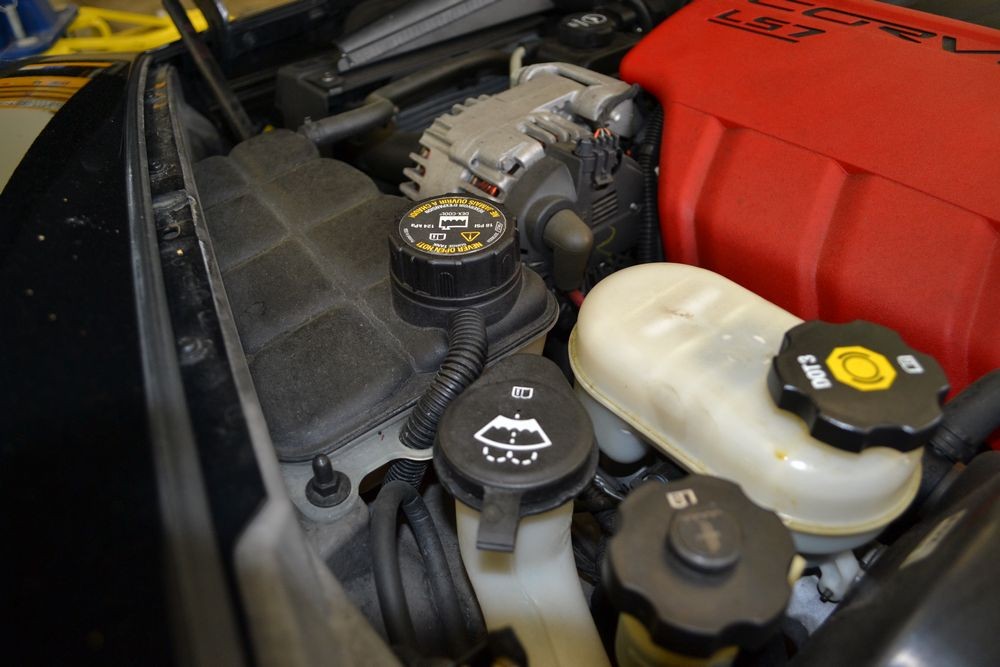 Z06DSC_0029